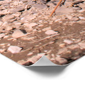 ヨセミテ国立公園カラーフォトポスタープリント ポスター (角)