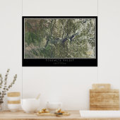 ヨセミテ国立公園カリフォルニア衛星地図 ポスター (キッチン)