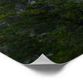 ヨセミテ国立公園ヨセミテ渓谷 ポスター (角)