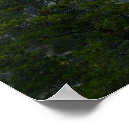 ヨセミテ国立公園ヨセミテ渓谷 ポスター (角)