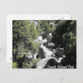 ヨセミテ国立公園旅行はがき ポストカード (正面/裏面)