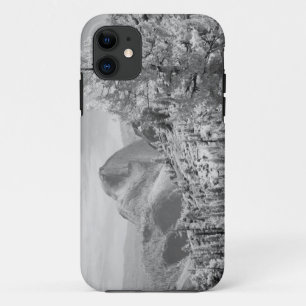 ヨセミテ国立公園東側の赤外線写真 2 iPhone 11 ケース