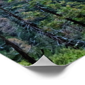 ヨセミテ国立公園統一された州 ポスター (角)