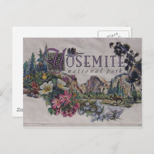 ヨセミテ国立公園野生動物 ポストカード (正面/裏面)