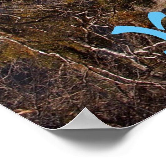 ヨセミテ国立公園風景画ポスター ポスター (角)