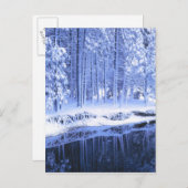 ヨセミテ国立公園, カリフォルニア州, アメリカ. 新鮮 ポストカード (正面/裏面)