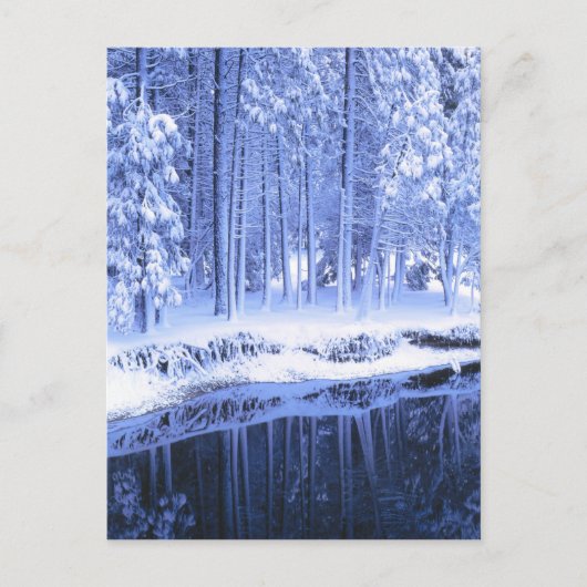 ヨセミテ国立公園, カリフォルニア州, アメリカ. 新鮮 ポストカード (正面)