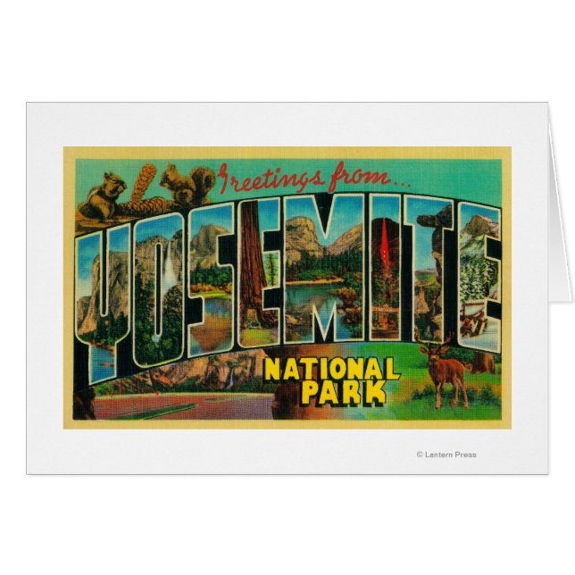 ヨセミテ国立公園，カリフォルニア州 – ラージレット (正面横)