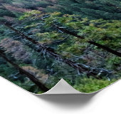 ヨセミテ国立公園,カリフォルニア州,統一された州 ポスター (角)