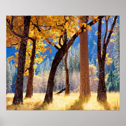 ヨセミテ国立公園 ポスター (正面)