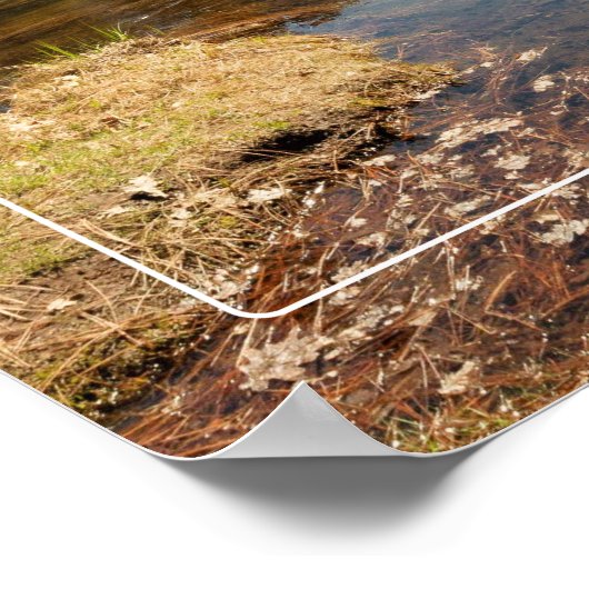 ヨセミテ国立公園 ポスター (角)