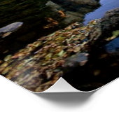 ヨセミテ国立公園 ポスター (コーナー)