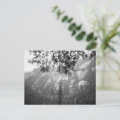 ヨセミテ国立公園 ポストカード (スタンド正面)