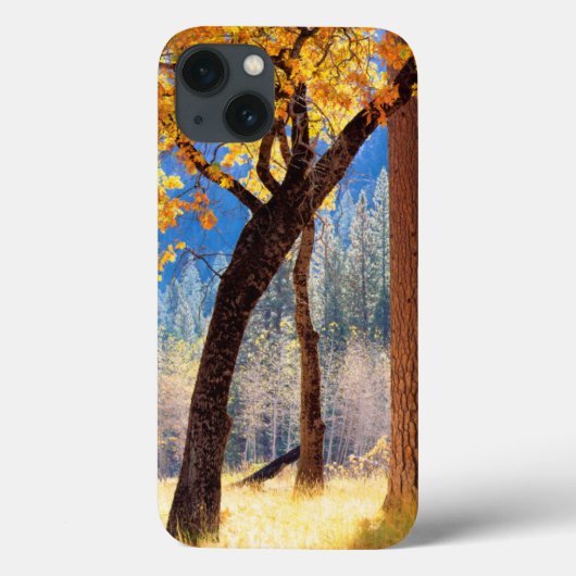 ヨセミテ国立公園 Case-Mate iPhoneケース (裏面)