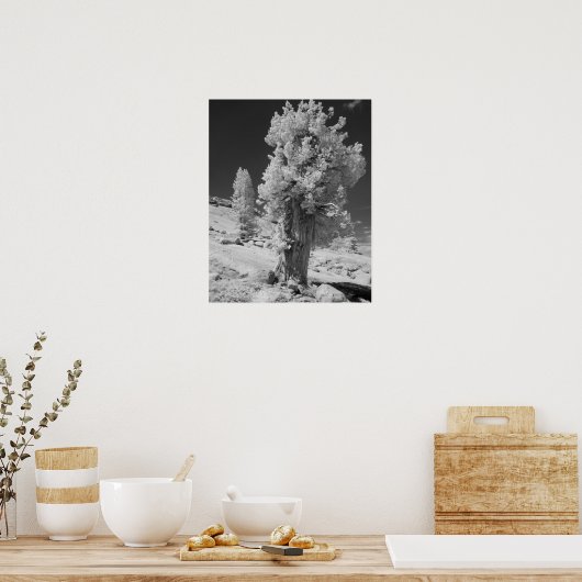 ヨセミテ国立東部の赤外線 ポスター (キッチン)