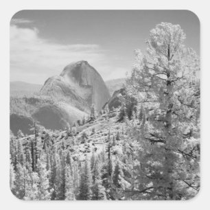 ヨセミテ国立2号東側の赤外線写真 スクエアシール