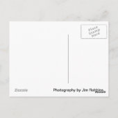 ヨセミテ岩だ！ ポストカード (裏面)