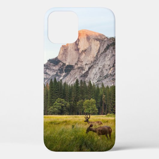 ヨセミテ渓谷のハーフドーム前の2頭の鹿 Case-Mate iPhoneケース (裏面)