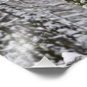 ヨセミテ渓谷の雪に覆われた木の幹 –  フォトプリント            (角)