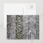 ヨセミテ渓谷の雪に覆われた木の幹 –  ポストカード (正面/裏面)