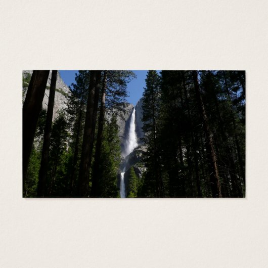 ヨセミテ滝と森の風景写真 (裏面)