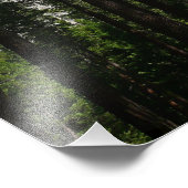 ヨセミテ滝と森の風景写真 フォトプリント            (角)