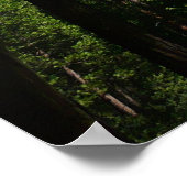 ヨセミテ滝と森の風景写真 ポスター (角)