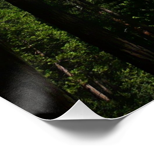 ヨセミテ滝と森の風景写真 ポスター (コーナー)