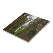 ヨセミテ滝ズ タイル (側面)