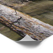 ヨセミテ滝 ポスター (角)