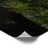 ヨセミテ滝IIヨセミテ国立公園 ポスター (角)