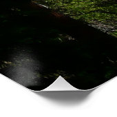 ヨセミテ滝IIヨセミテ国立公園 ポスター (コーナー)