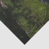 ヨセミテ滝IIヨセミテ国立公園 薄葉紙 (詳細)