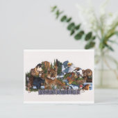 ヨセミテ野生生物 ポストカード (スタンド正面)