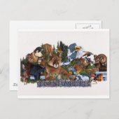 ヨセミテ野生生物 ポストカード (正面/裏面)