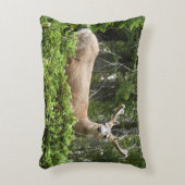 ヨセミテ鹿自然撮影 アクセントクッション (正面(垂直))