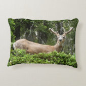 ヨセミテ鹿自然撮影 アクセントクッション (裏面)