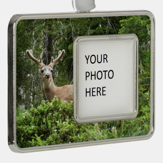 ヨセミテ鹿自然撮影 シルバープレートフレームオーナメント (右)