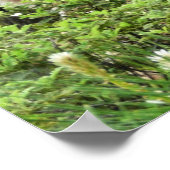 ヨセミテ鹿自然撮影 ポスター (角)