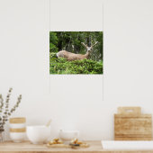 ヨセミテ鹿自然撮影 ポスター (キッチン)