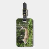 ヨセミテ鹿自然撮影 ラゲッジタグ (正面縦)