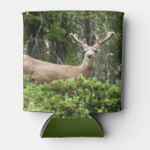 ヨセミテ鹿自然撮影 缶クーラー (正面)
