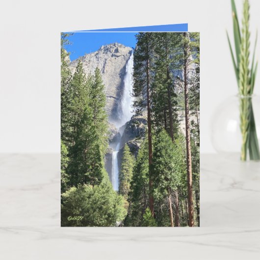 ヨセミテ2024 カード (正面)