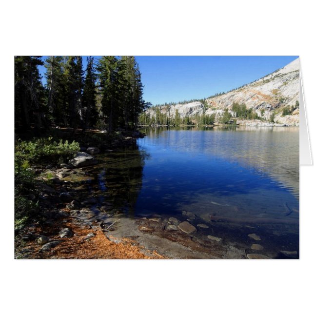 ヨセミテ3 (正面横)