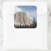 ヨセミテ スクエアシール (バッグ)