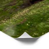 ヨセミテ・トゥールムネ・メドウ ポスター (コーナー)