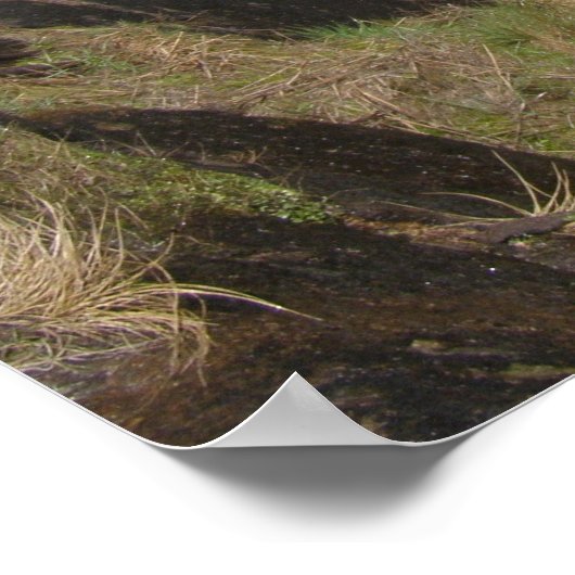 ヨセミテ ポスター (角)