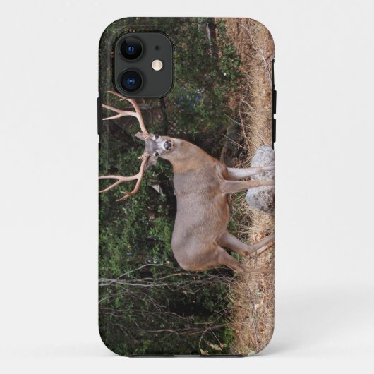 ヨセミテiPhoneの鹿(オス) 5 Case-Mate iPhoneケース (裏面)