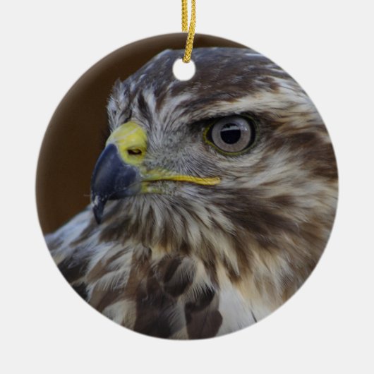 ヨタカ（Buteo buteo） セラミックオーナメント (正面)