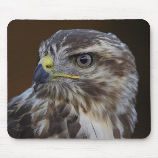 ヨタカ(Buteo buteo) マウスパッド (正面)